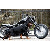 Mel Dalby's photo