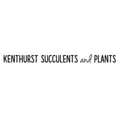 Kenthurst Succulents