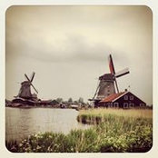 Yanni Yanni's photo