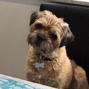 Alison Kelly's photo