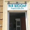 Foto di profilo di mr bloom sas