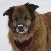 Tobi Jacobi's photo