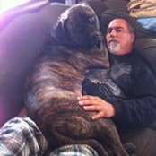 Paul Bromley Sr.'s photo