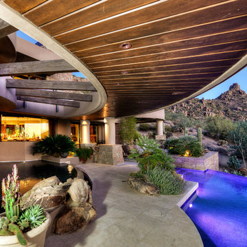 Amazing Backyards