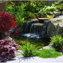 Feng Shui Ideas