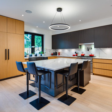 Trout Lake Modern | Single Family Home