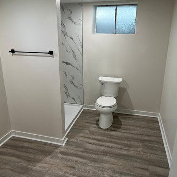 Basement Remodel