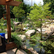 Pond