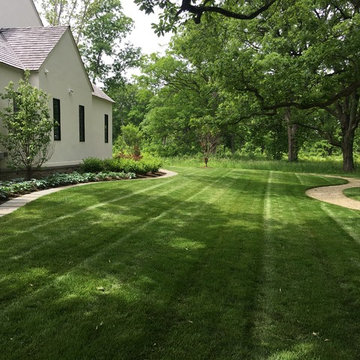 AFTER: North yard (facing west