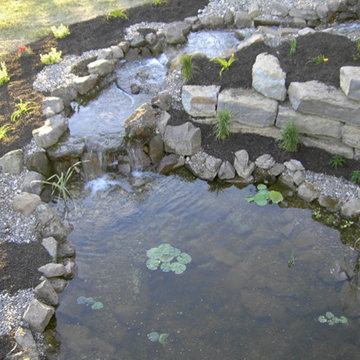 Backyard Ponds