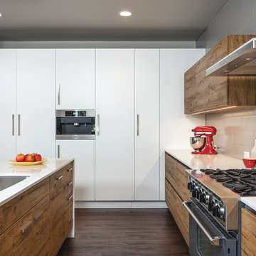 Contemporary Kitchen
