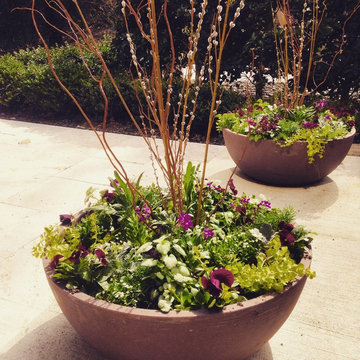 Spring Container Garden Design