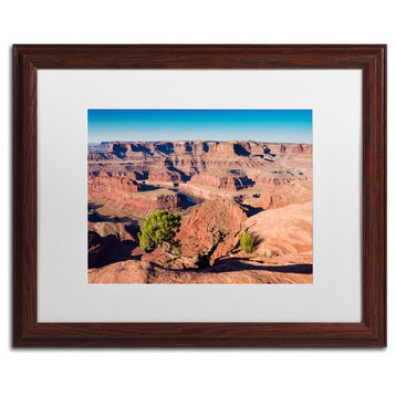 Blanchette Photography 'Canyonlands Sunrise', Wood Frame, White Matte, 20"x16"