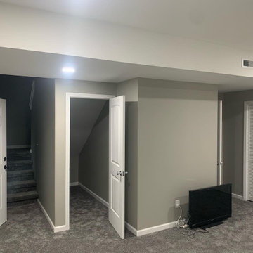 Basement Buildout