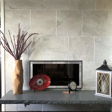 Slim Moderne Fireplace Doors in Black and Satin Nickel