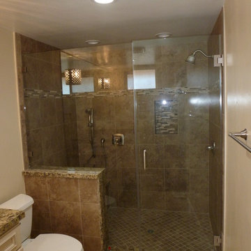 Walk-in Shower Remodel