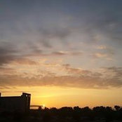 Leigh Anderson's photo