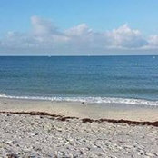 Tanya LeCompte-Hofmann's photo