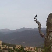 Islem Toureche's photo