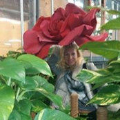 Irina Nezda's photo