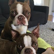 Angela Cain's photo