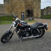 David Kenny's photo