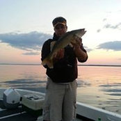 Ryan Neitzkes billede