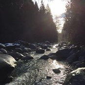 James Henderson's photo