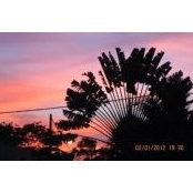 Petrus Hon's photo