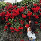 Foto von Sarah AlSultan