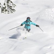 Laura Kimball's photo