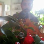 Joao Da Silva's photo
