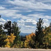Patti Hammond's photo