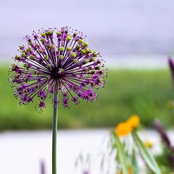 Jennifer Seely's photo