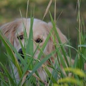 Bonnie Fultz's photo