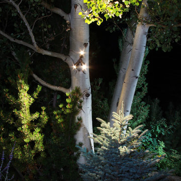 LED Outdoor and Landscape Lighting