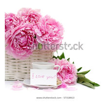 Mothers Day Cards
