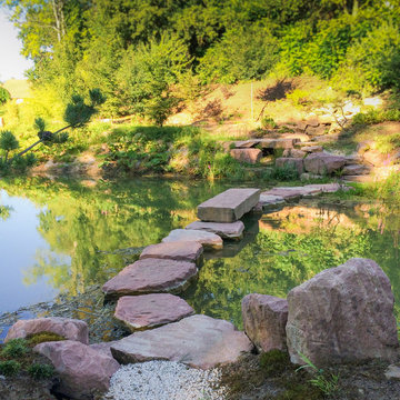 Etang jardin japonais