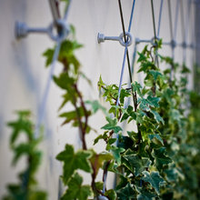 NURSERY