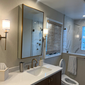 Alexandria Renovations- Primary Bath and Dining Room