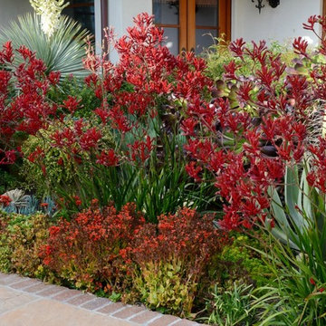 Rancho Santa Fe Spanish Colonial