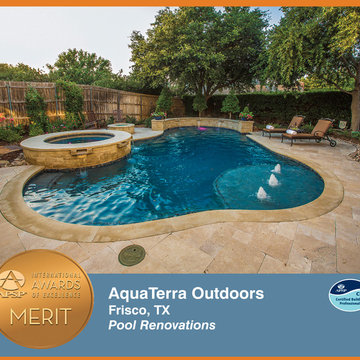2014 APSP International Awards of Excellence