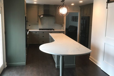 Kitchen - transitional kitchen idea in Chicago