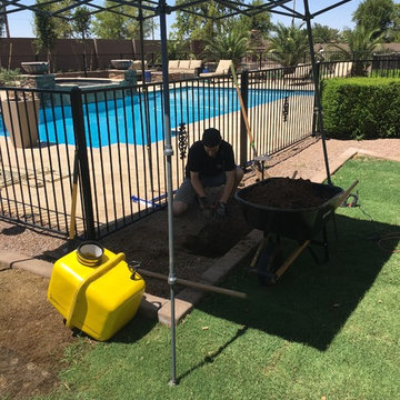 Outdoor Entertainment
