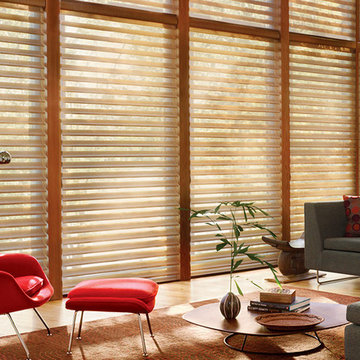 Hunter Douglas Silhouette Window Shadings