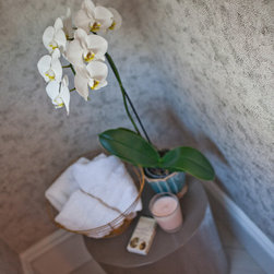 Off The Wall! Paper & Wall Coverings - Products