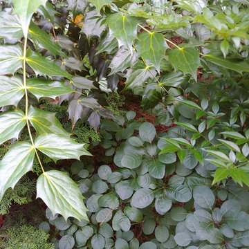 Warrenton garden