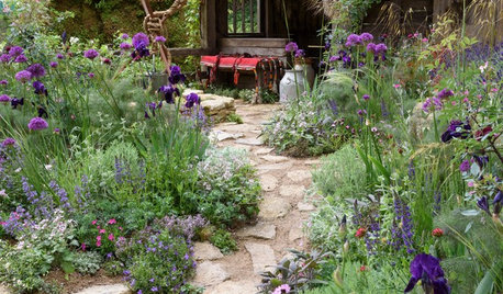 Small Garden Ideas to Steal from The RHS Chelsea Flower Show 2019