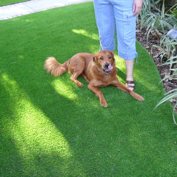 Residential Lawn