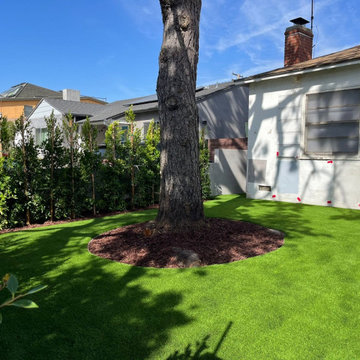 Custom Artificial Turf Installation with Tree Ring Detail & Clean Landscape Look